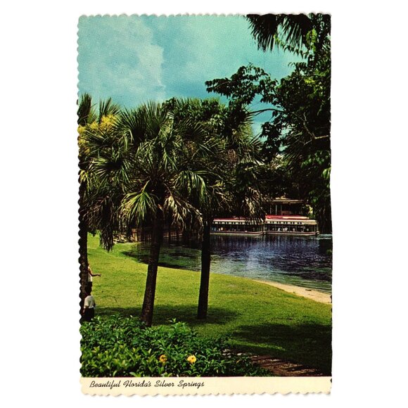 Vintage Florida Silver Springs Postcard Bottom Boats Tropical Landscape Vacation - Picture 1 of 2